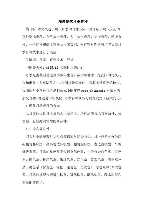 现代月季育种