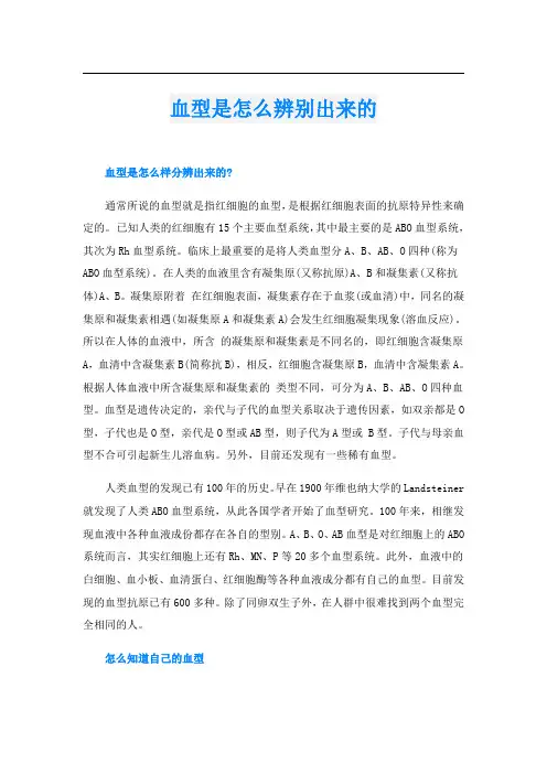 血型是怎么辨别出来的