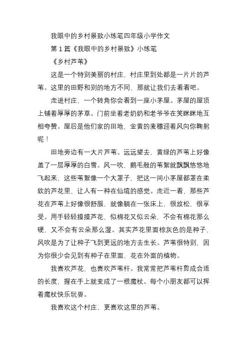 我眼中的乡村景致小练笔四年级小学作文