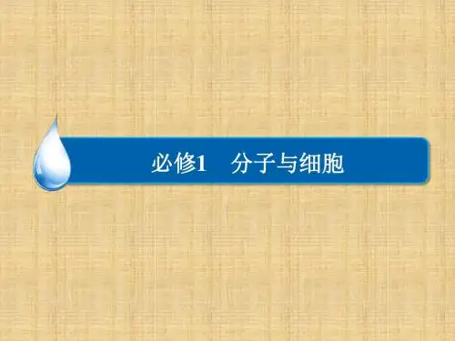【金版教程】高考生物一轮复习精讲(最新考纲+核心考点)第一单元 第1讲 走近细胞名师优质课件 新人教版必