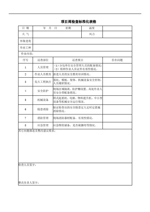 项目周检查标准化表格