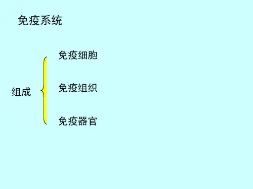 组织胚胎学ppt课件免疫系统