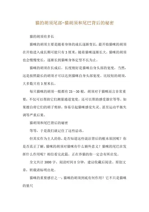 猫的胡须尾部-猫胡须和尾巴背后的秘密
