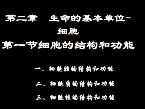 人教版教学课件生物第一册第二章细胞质的结构和功能 上学期