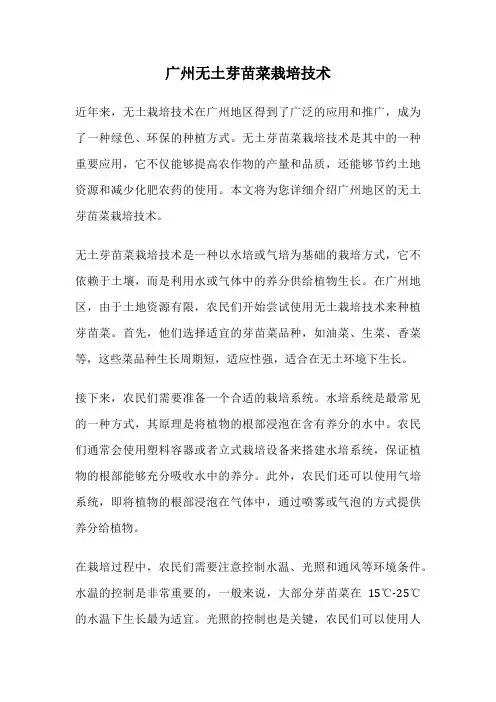 广州无土芽苗菜栽培技术