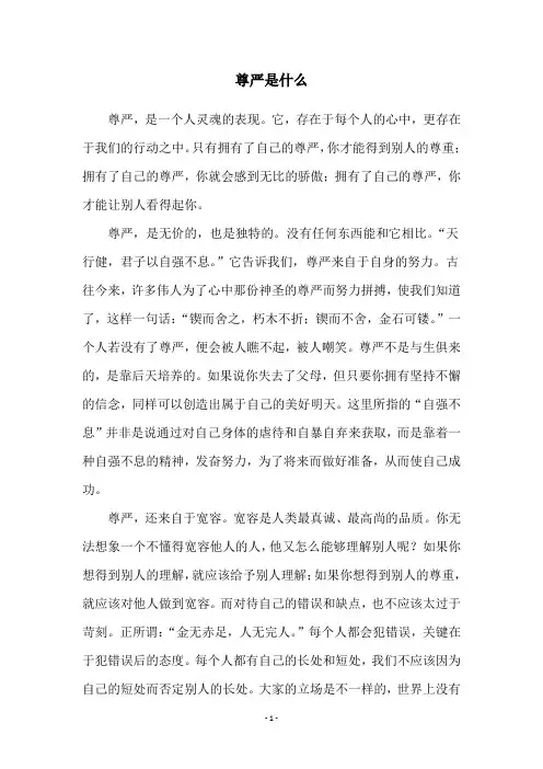尊严是什么