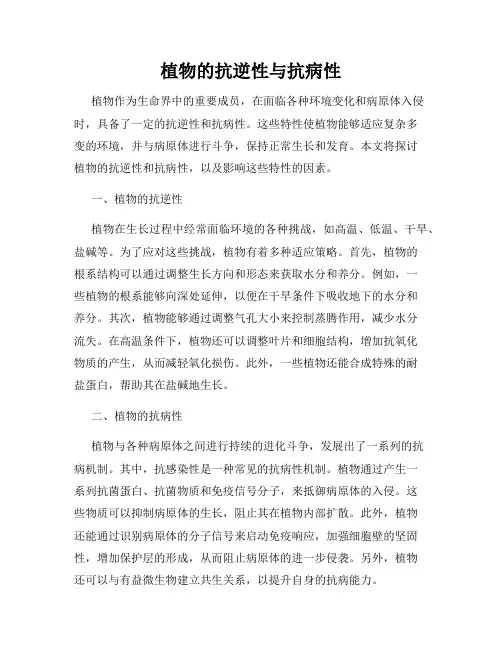 植物的抗逆性与抗病性