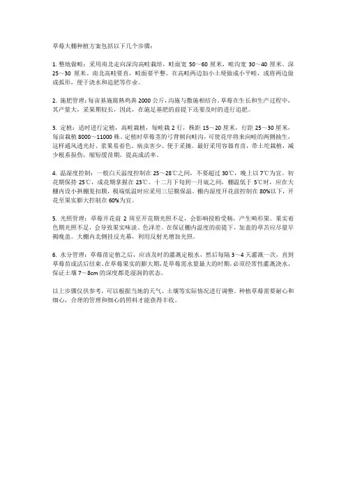 草莓大棚种植方案