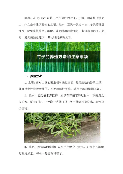 竹子的养殖方法和注意事项