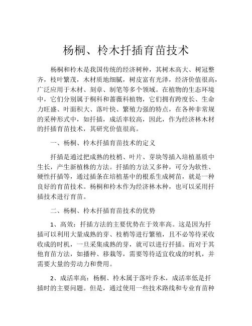 杨桐、柃木扦插育苗技术
