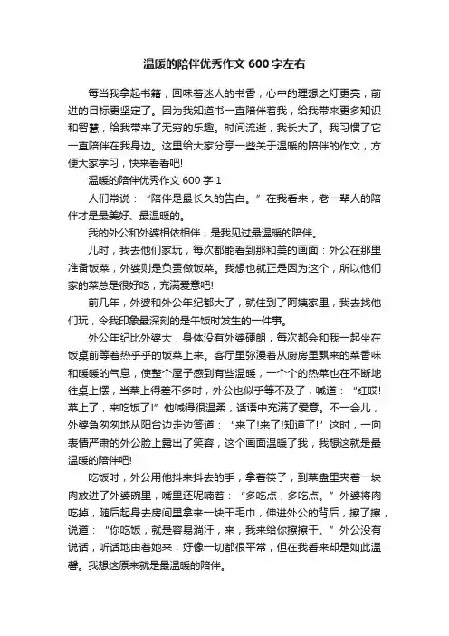 温暖的陪伴优秀作文600字左右