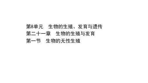 苏教版八年级生物下册21.1  生物的无性生殖 课件