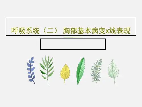 呼吸系统(二) 胸部基本病变x线表现PPT51页
