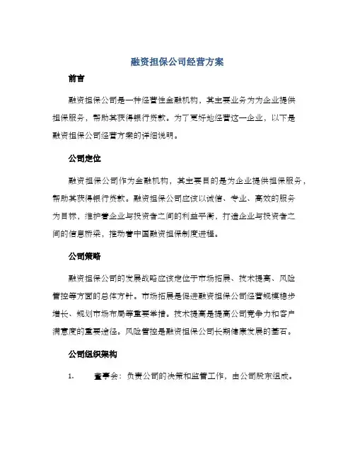 融资担保公司经营方案