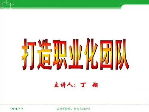 团队系列之一打造职业化团队