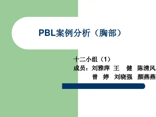 PBL案例分析