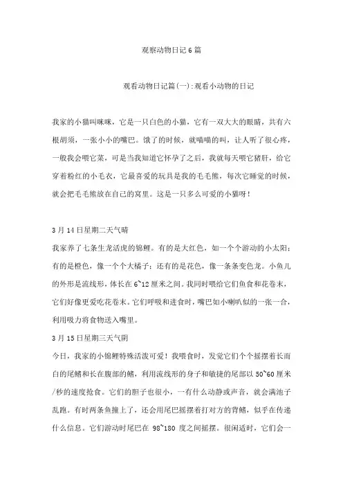 观察动物日记6篇