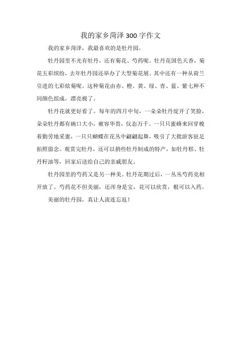 我的家乡菏泽300字作文