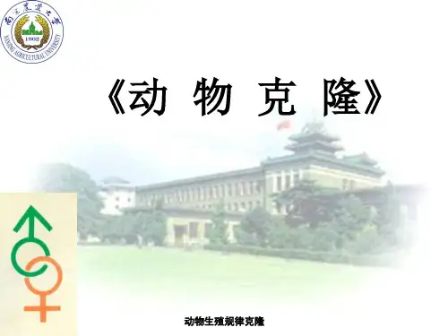 动物生殖规律克隆PPT课件