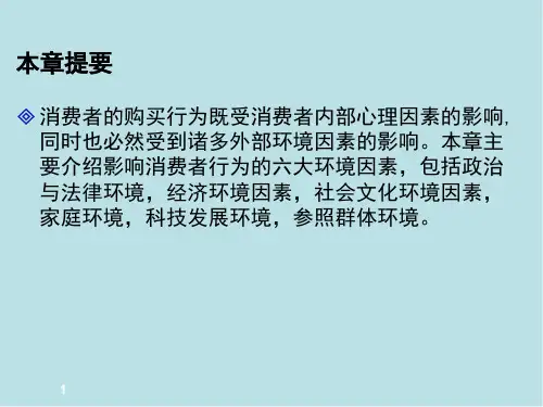 消费心理学第九章课件