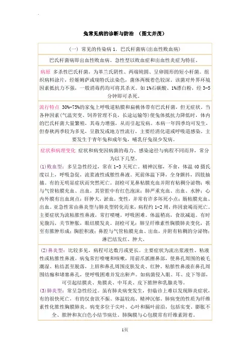 兔常见病的诊断与防治