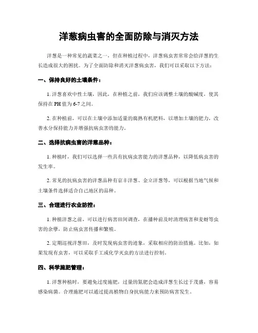 洋葱病虫害的全面防除与消灭方法