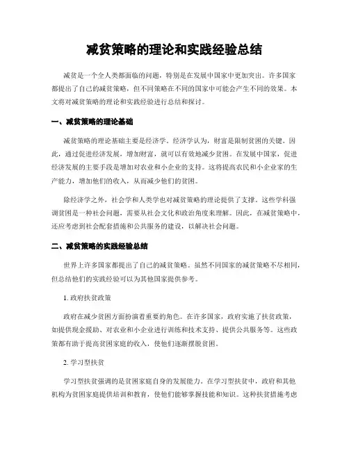 减贫策略的理论和实践经验总结