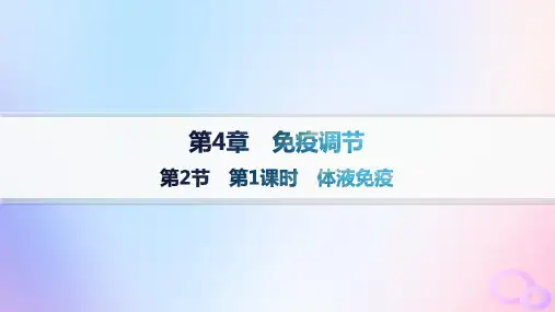 2024_2025学年新教材高中生物第4章免疫调节第2节第1课时体液免疫课件新人教版选择性必修1