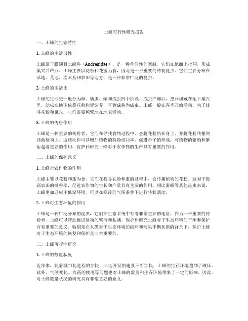 土蜂可行性研究报告