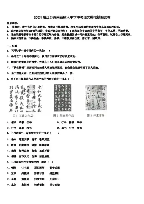 2024届江苏省南京树人中学中考语文模拟精编试卷含解析