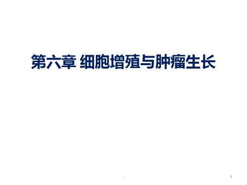 细胞增殖与肿瘤生长PPT课件