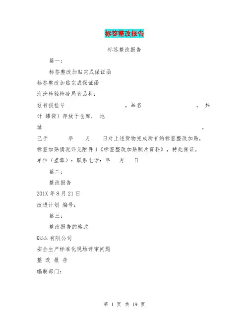 标签整改报告