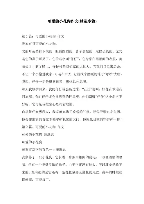 可爱的小花狗作文(精选多篇)