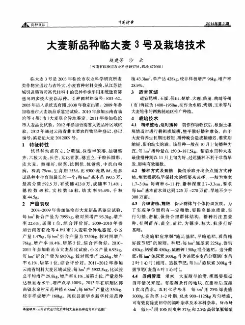 大麦新品种临大麦3号及栽培技术