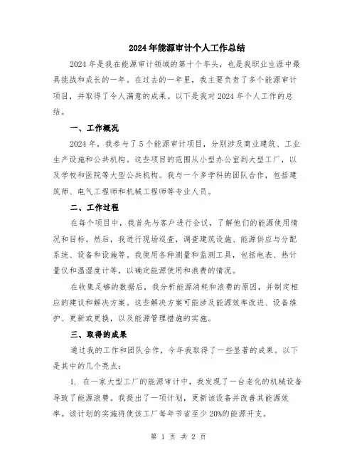2024年能源审计个人工作总结