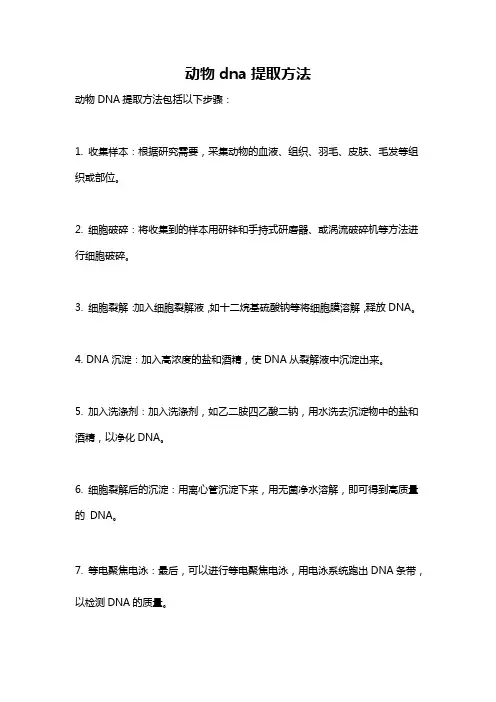 动物dna提取方法