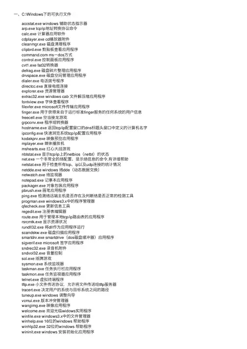 Windows系统下的EXE文件解析大全