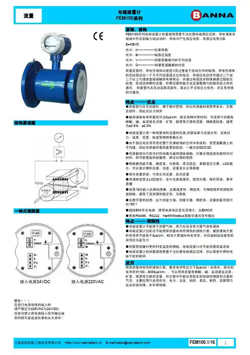 FEM100电磁流量计