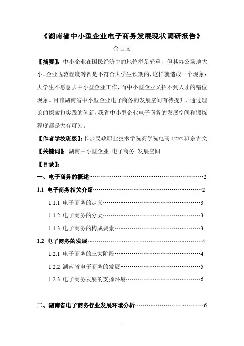 湖南省中小型企业电子商务发展现状调研报告