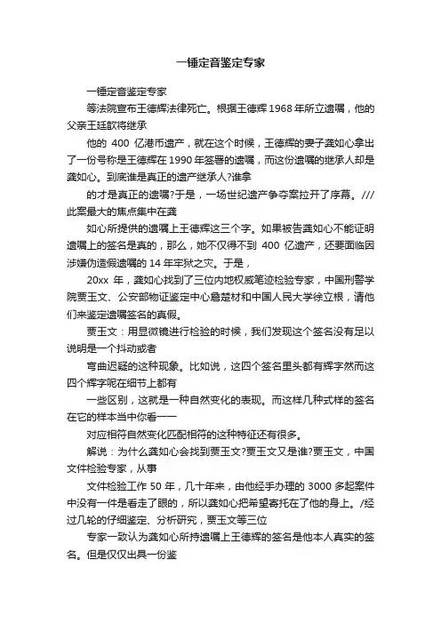 一锤定音鉴定专家