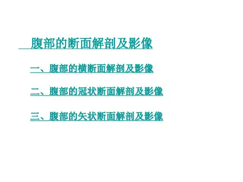 腹部断面及影像