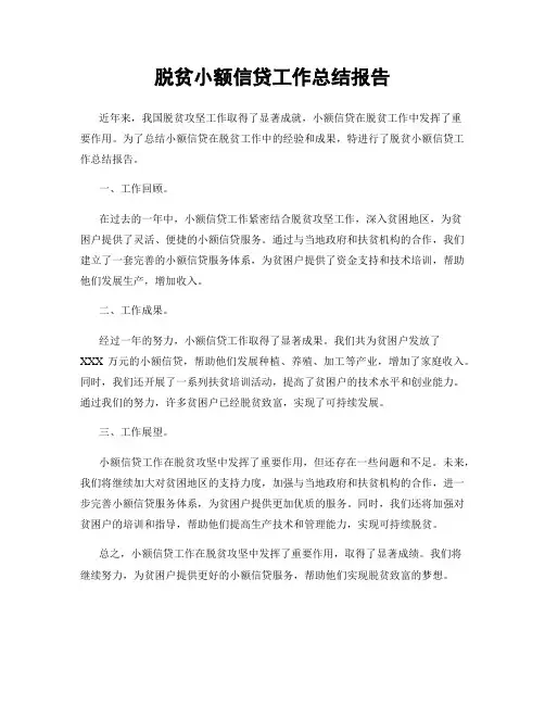 脱贫小额信贷工作总结报告