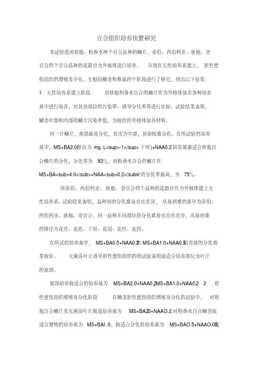 百合组织培养快繁研究