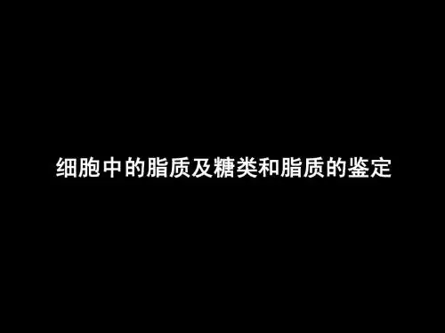 细胞中的脂质及糖类和脂质的鉴定