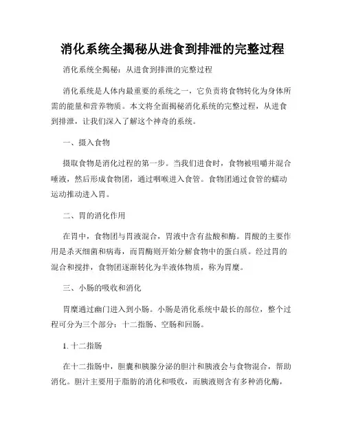 消化系统全揭秘从进食到排泄的完整过程