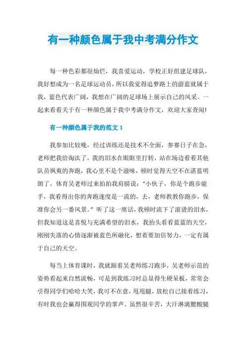 有一种颜色属于我中考满分作文
