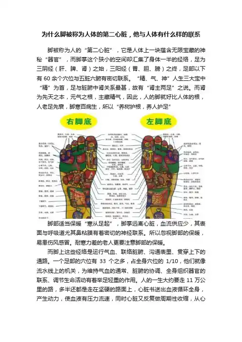 为什么脚被称为人体的第二心脏，他与人体有什么样的联系
