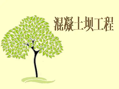 混凝土坝