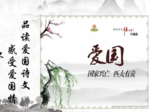 苏教版八年级上册语文：语文实践活动 品读爱国诗文 感受爱国情怀 (2)
