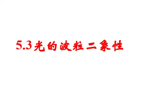 实物粒子的波粒二象性 课件(16张)